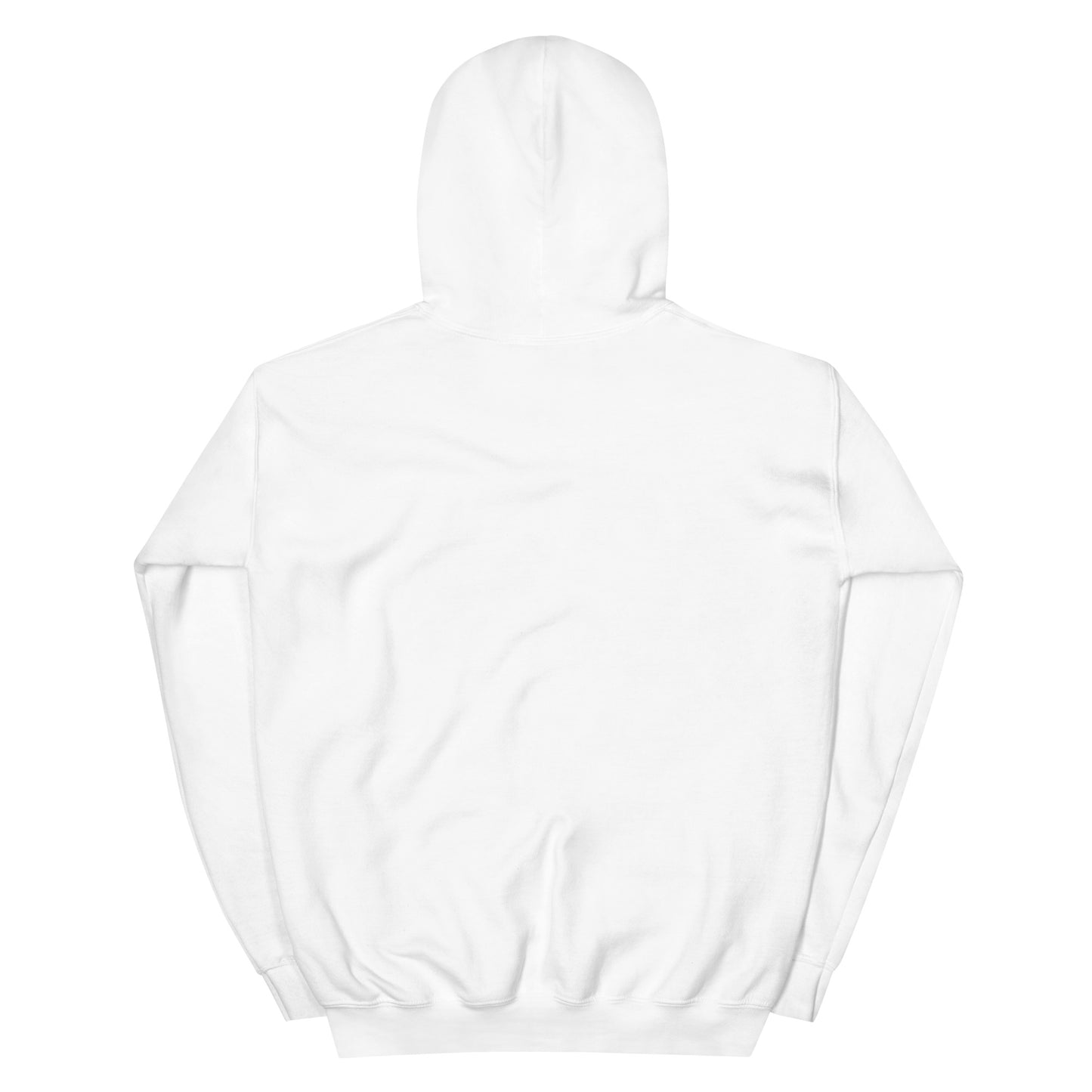 Unisex-Kapuzenpullover ARCADE colour