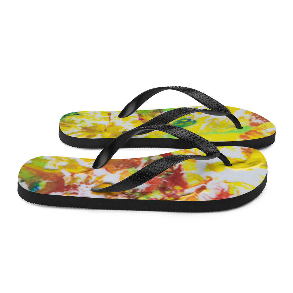 Flip-Flops AURORA